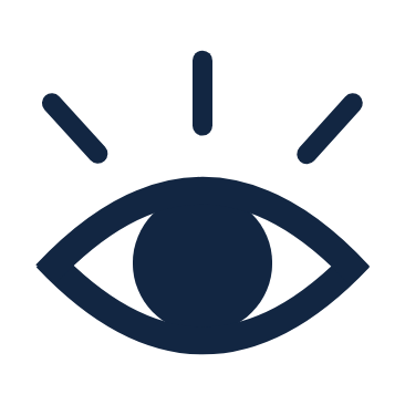 Vision Icon